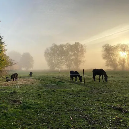Rosenlund Gods - Kaelder *