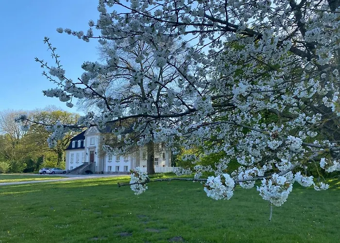 Vakantiehuis Rosenlund Gods - Kaelder *